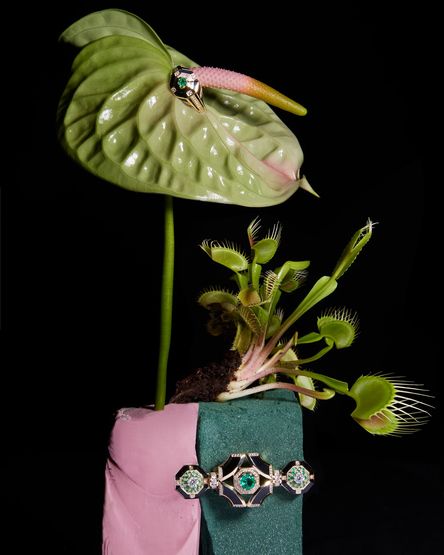 State Property Gardens collection campaign